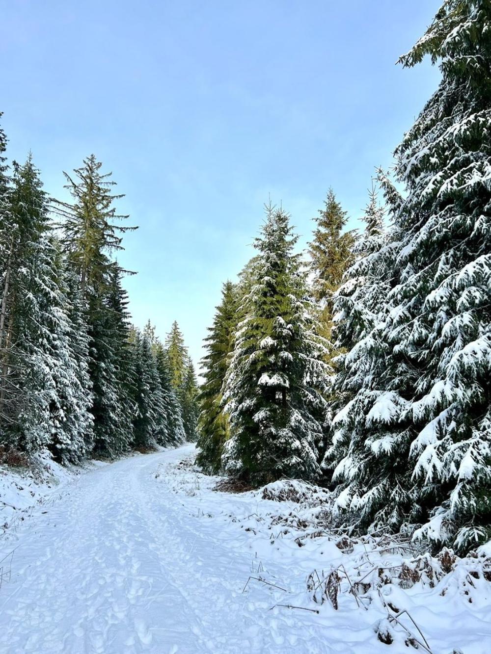 Tannenduft Freudenstadt Exteriör bild